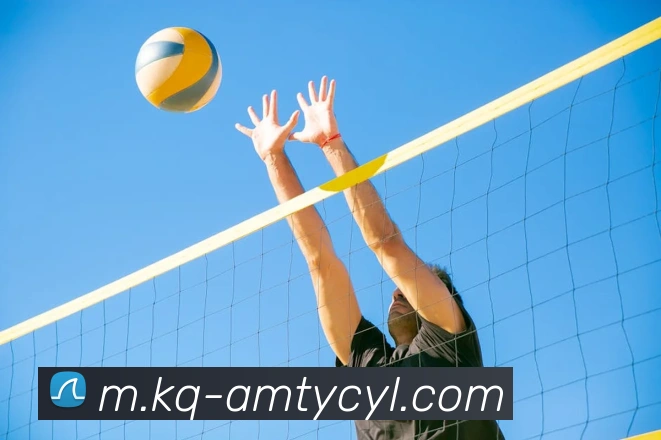 澳门太阳城网站发展历程